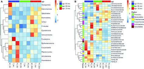 Heatmap Of A All Identified Phyla And B The Most Abundant