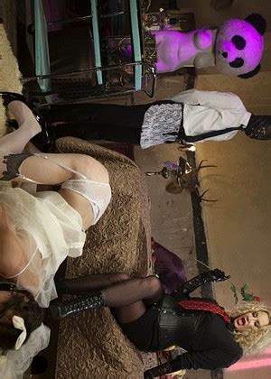 Free Sex Photos Divine Bitches Maitresse Madeline Will Havoc Tony