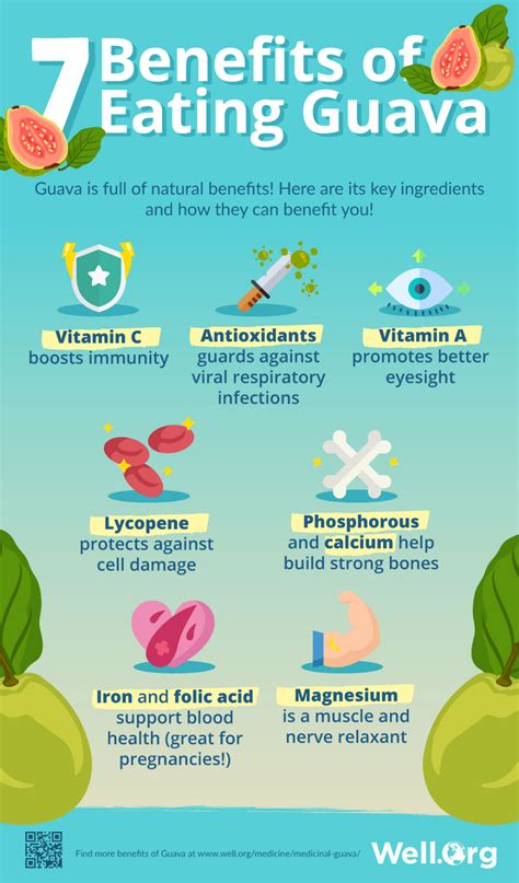 The Medicinal Properties Of Guava And Its Leaves Infographic Artofit