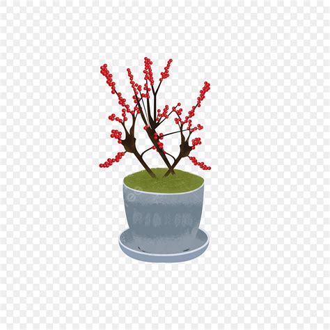 Plantas En Maceta Macetas Dibujado A Mano Png Png Plantas En Maceta