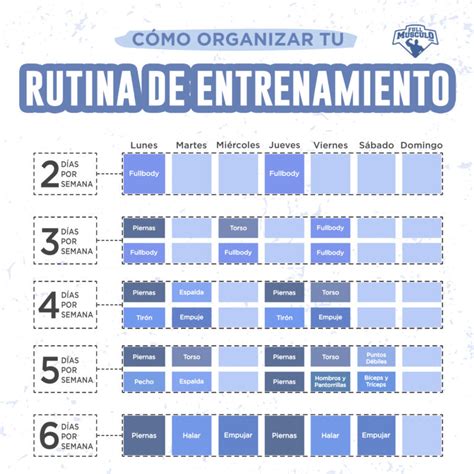 Cómo Organizar mi Rutina de Entrenamiento FullMusculo