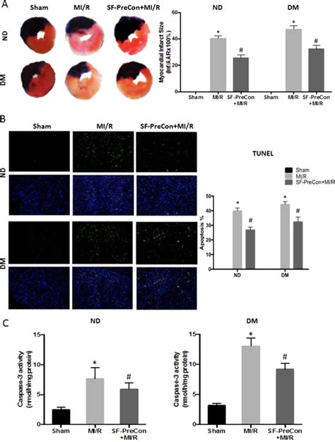 Sevoflurane Pre Conditioning Ameliorates Diabetic Myocardial Ischemia