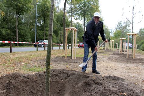 150 Bäume für ein besseres Klima Pflanzaktion der Stadt ein voller