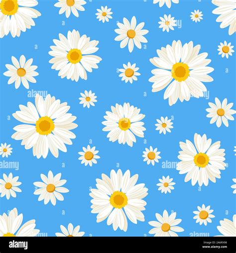 Chrysanthemum daisies Stock Vector Images - Alamy