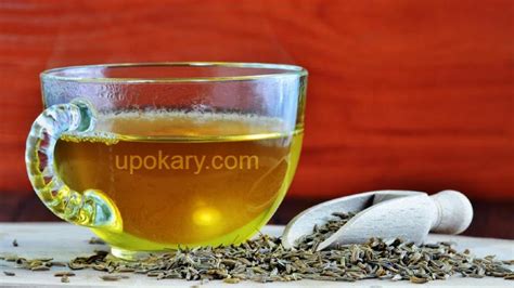 Benefits Of Cumin Water Or Jeera Water Upokary