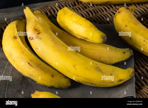 Raw Organic Yellow Plantain Bananas Ready To Chop Stock Photo Alamy