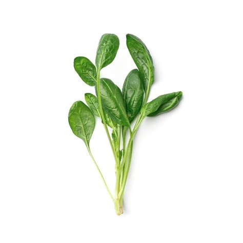 Premium Photo Bunch Of Fresh Leaves Of Spinach Isolated On White