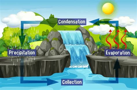 How Is Rain Formed What Are The Effects And Causes Of Rainfall