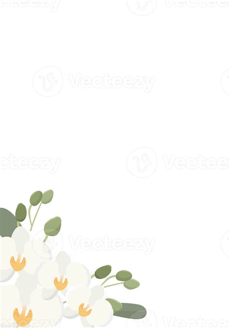 White Phalaenopsis Orchid Flower Bouquet Frame 12805687 Png