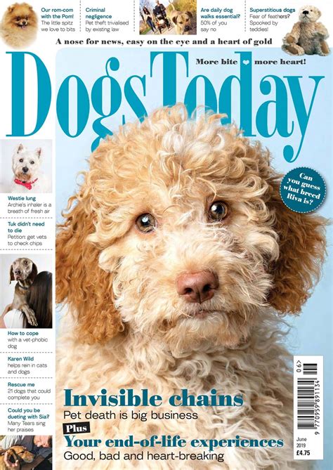 Dogs Today Magazine June 2019 Back Issue