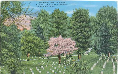 Design History of National Cemeteries (U.S. National Park Service)