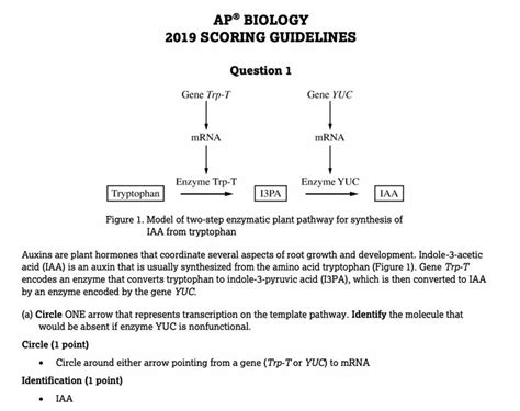 The Essential Guide Biozone Ap Biology Answer Key Explained