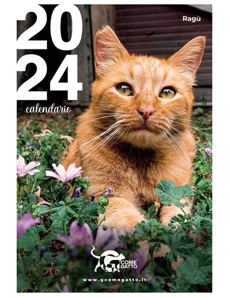 G Come Gatto Calendario Heddi Kristal