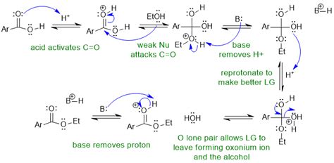 Chem W Final Mechanism