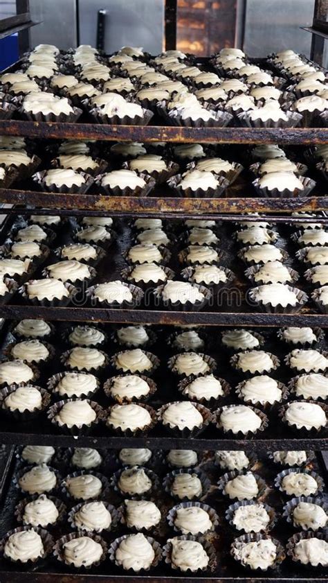 Preparaci N De Las Galletas Para Cocer Proceso De Cocinar En La Cocina