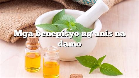 Mga Benepisyo Ng Anis Na Damo Kaalaman