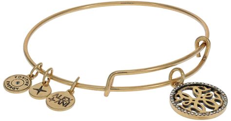 Alex And Ani Path Of Symbols Path Of Life Bracelet In Black Lyst