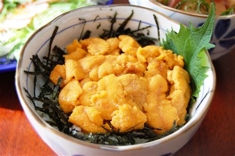 Uni don うに丼 Sea Urchin Rice Bowl The Chef Dojo