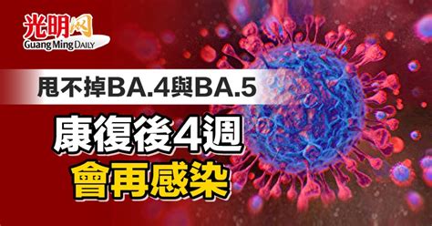 甩不掉ba 4與ba 5 康復後4週會再感染 新型冠狀病毒 國際 2022 07 11 光明日报