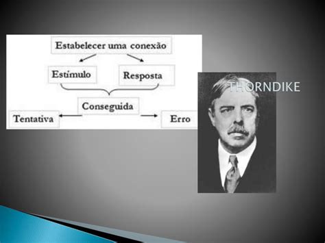 Aula O Behaviorismo Uma Proposta De Estudo Do Comportamento Ppt