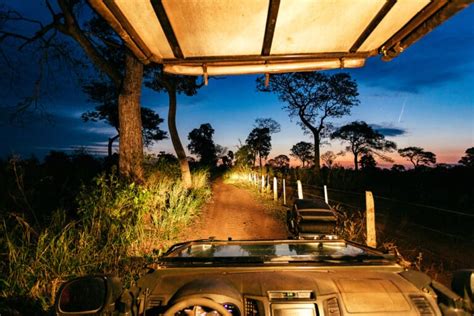 Luxury Jaguar Safari In The Pantanal Planetaexo