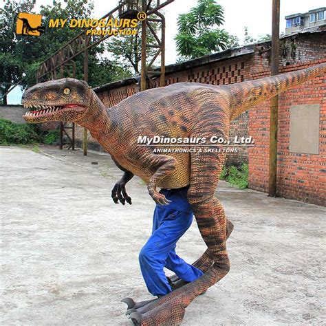 DC-049 Realistic Dinosaur Costume for Lady | My Dinosaurs