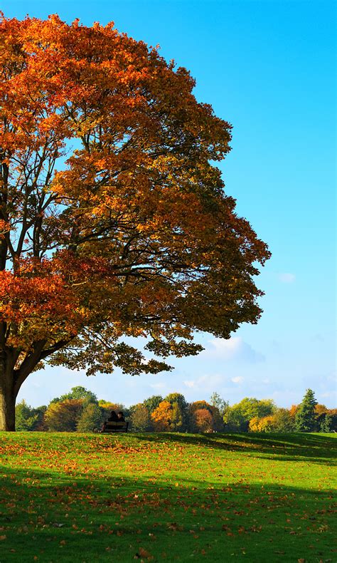 Best Spa towns in the UK | lastminute.com