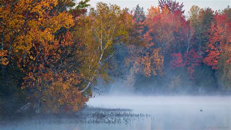 Autumn Morning Mist This Shows The Autumn Mist And Colors Flickr