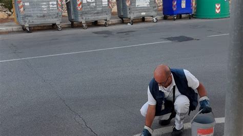 Bari Proseguono Gli Interventi Straordinari Di Disinfestazione Amiu