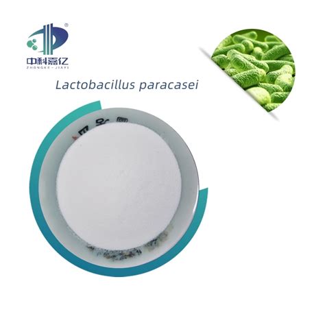 Billion Cfu Food Grade Lactobacillus Paracasei Probiotic Powder