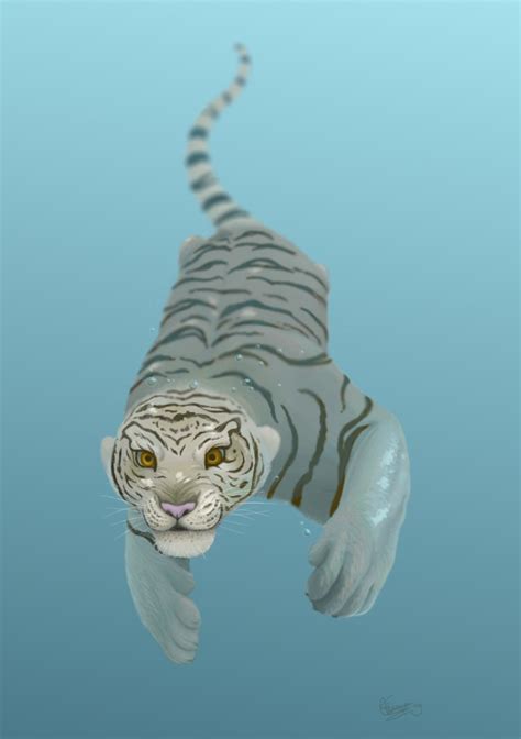 Swimming Tiger by Sabientje on DeviantArt