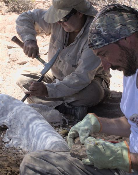 Hallan En Neuqu N Los Restos De Un Dinosaurio Desconocido Podr A Ser