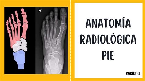 Anatomía Radiológica Radiología Convencional Pie Proyección