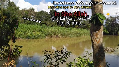 MANCING IKAN SPOT PALING BARU BARU DI BUKA BERPOTENSI ADA IKAN BESAR