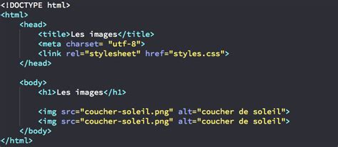Insérer Et Gérer Les Images En Html Et En Css