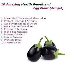 Brinjal Benefits - FAQs