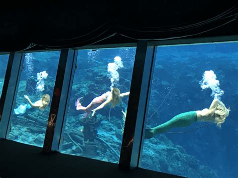 How Cheyenne Bragg Became A Magical Weeki Wachee Mermaid