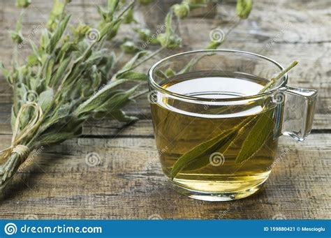 Glass Cup Of Herbal Sage Tea With Dried Sage Leaves On Wooden Rustic