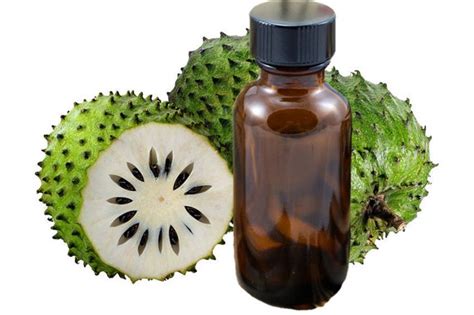 Virgin Soursop Oil Graviola Guanabanaannona Muricata Etsy