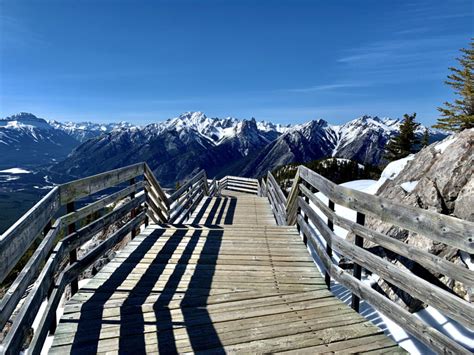 Banff S Sulphur Mountain Hike Everything You Need To Know The