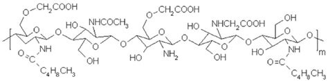 Molecular Structure Of Chitosonic ® Acid Carboxymethyl Hexanoyl Chitosan Download Scientific