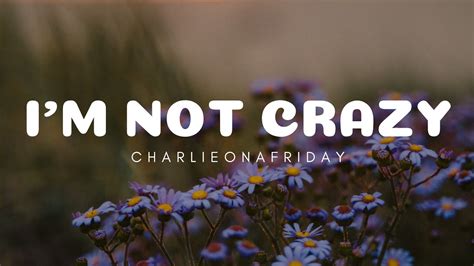 Charlieonafriday I M Not Crazy Lyrics Youtube