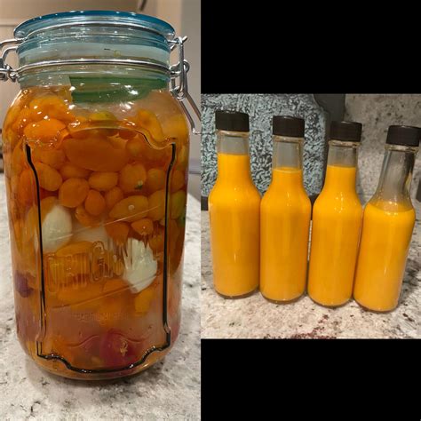 I Made My First Fermented Hot Sauce It Turned Out Spicy And Tasty R FermentedHotSauce