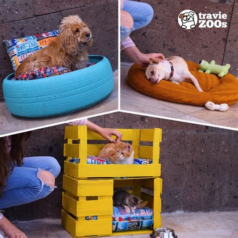 Fotos De Marialourdes Mendoza En Mis Favoritos Camas Para Diy Pet