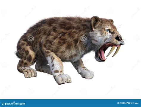 Sabertooth Tiger Stock Photography 117569198