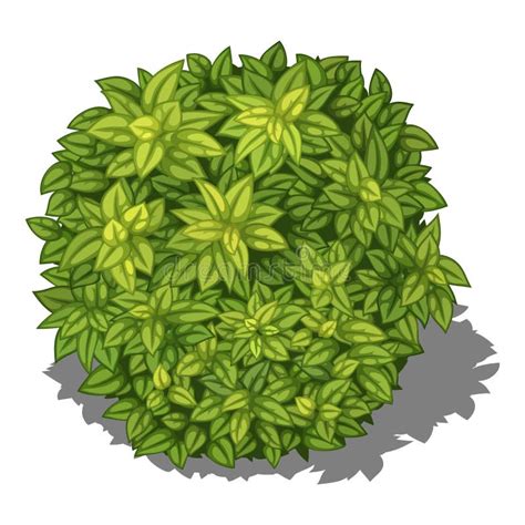 Green Bush In Isometric Perspective Vector Image On White Background