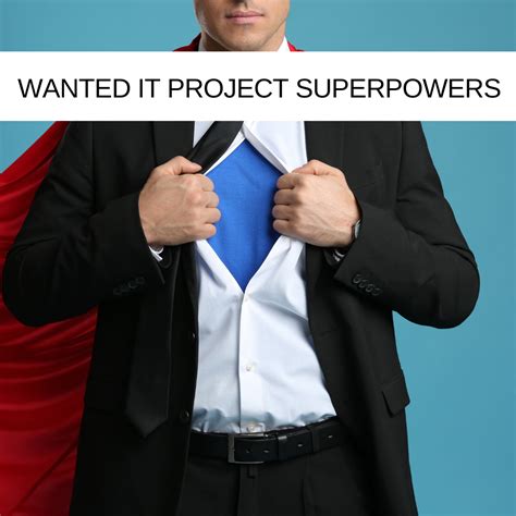 Stoneseed Ltd Adaptability The Most Wanted IT Project Superpower