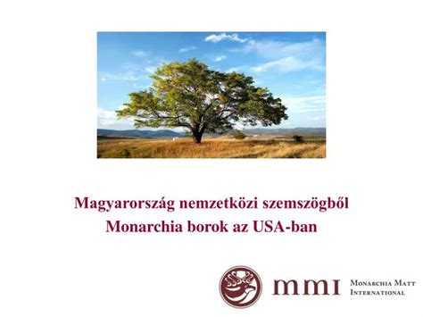 Ppt Magyarorsz G Nemzetk Zi Szemsz Gb L Monarchia Borok Az Usa Ban