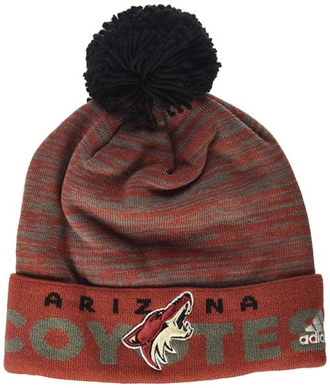 Pin On Arizona Coyotes