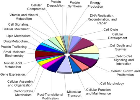 Molecular And Cellular Functions Associated With Genes Differentially